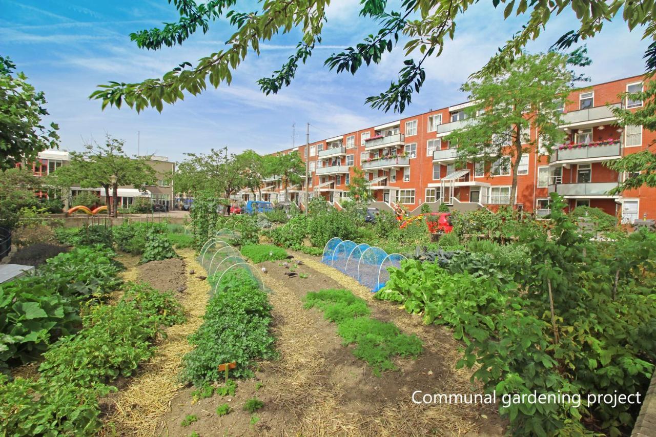 New Monumental Garden View Studio Amsterdam Cameră foto
